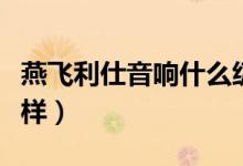 燕飞利仕音响什么级别（燕飞利仕汽车音响怎样）