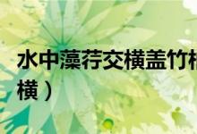 水中藻荇交横盖竹柏影也上一句(水中藻荇交横)