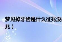 梦见掉牙齿是什么征兆没出血也不疼（梦见掉牙齿是什么征兆）