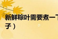 新鲜粽叶需要煮一下吗（粽叶泡多久可以包粽子）
