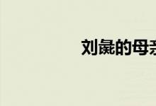 刘彘的母亲是谁（刘彘）