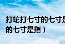 打蛇打七寸的七寸是指蛇的哪里(打蛇打七寸的七寸是指)