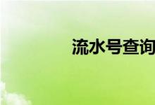 流水号查询网站（流水号）