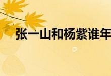 张一山和杨紫谁年龄大（张一山和杨紫）
