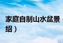 家庭自制山水盆景（关于家庭自制山水盆景介绍）