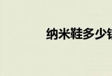 纳米鞋多少钱一双（纳米鞋）