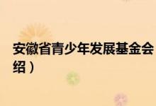 安徽省青少年发展基金会（关于安徽省青少年发展基金会介绍）