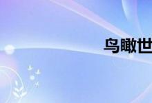 鸟瞰世界(鸟瞰)