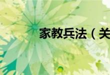 家教兵法（关于家教兵法介绍）