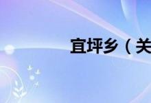 宜坪乡（关于宜坪乡介绍）