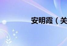 安明霞（关于安明霞介绍）