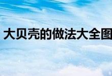 大贝壳的做法大全图解（大贝壳的做法大全）