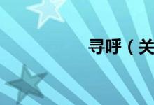寻呼（关于寻呼介绍）