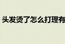 头发烫了怎么打理有型（头发烫了怎么打理）
