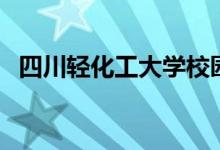 四川轻化工大学校园网登陆（校园网登陆）