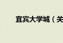 宜宾大学城（关于宜宾大学城介绍）