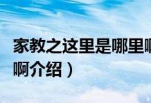 家教之这里是哪里啊（关于家教之这里是哪里啊介绍）