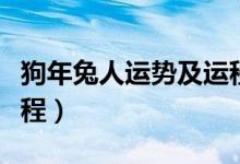 狗年兔人运势及运程详解（狗年兔人运势及运程）