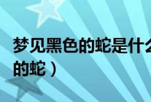 梦见黑色的蛇是什么意思周公解梦（梦见黑色的蛇）
