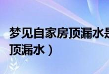 梦见自家房顶漏水是什么意思啊(梦见自家房顶漏水)