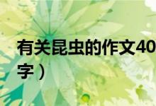 有关昆虫的作文400字（关于昆虫的作文400字）