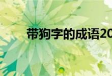 带狗字的成语20个(带狗字的成语)