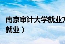 南京审计大学就业方向及前景（南京审计大学就业）