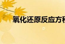 氧化还原反应方程式（氧化还原反应）
