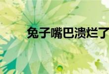 兔子嘴巴溃烂了用什么药（兔子嘴）