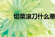 切菜滚刀什么意思（滚刀什么意思）