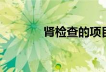 肾检查的项目（肾检查图片）