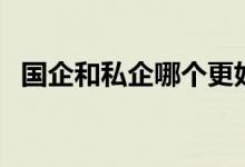 国企和私企哪个更好（国企和私企的区别）