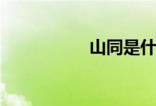 山同是什么字（山同）