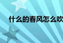 什么的春风怎么吹过大地（什么的春风）