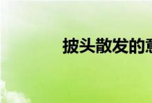 披头散发的意思（披头散发）