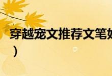 穿越宠文推荐文笔好（穿越宠文无虐完结小说）