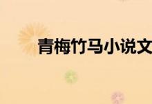 青梅竹马小说文（青梅竹马耽美文）