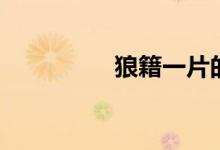 狼籍一片的意思（狼籍）