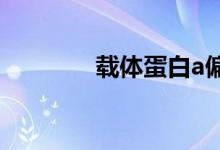 载体蛋白a偏高（载体蛋白）