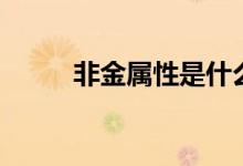 非金属性是什么意思（非金属性）