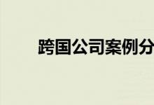 跨国公司案例分析（跨国公司案例）