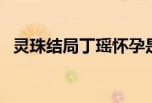 灵珠结局丁瑶怀孕是什么意思（灵珠结局）