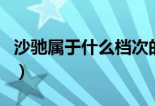 沙驰属于什么档次的包（沙驰属于什么档次的）