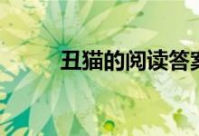 丑猫的阅读答案（丑猫阅读答案）