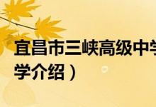 宜昌市三峡高级中学（关于宜昌市三峡高级中学介绍）