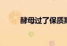 酵母过了保质期还能用吗(酵母)
