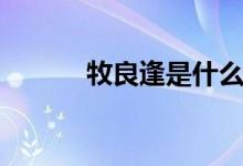 牧良逢是什么电视剧（牧良逢）