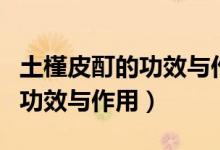 土槿皮酊的功效与作用及禁忌症（土槿皮酊的功效与作用）