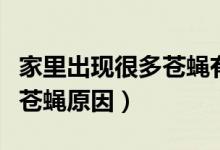 家里出现很多苍蝇有什么预兆（家里出现大量苍蝇原因）