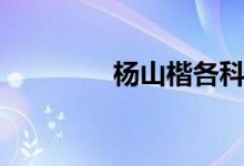 杨山楷各科成绩（杨山楷）